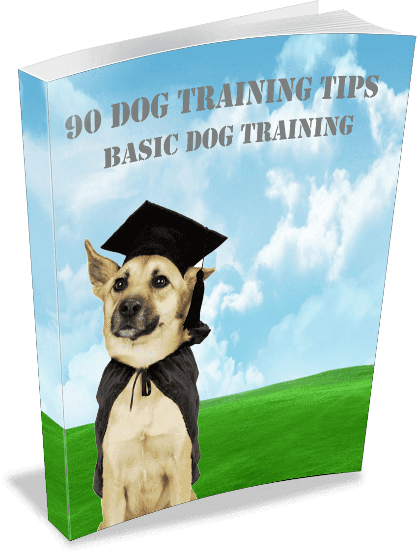 90 Dog Training TIPS